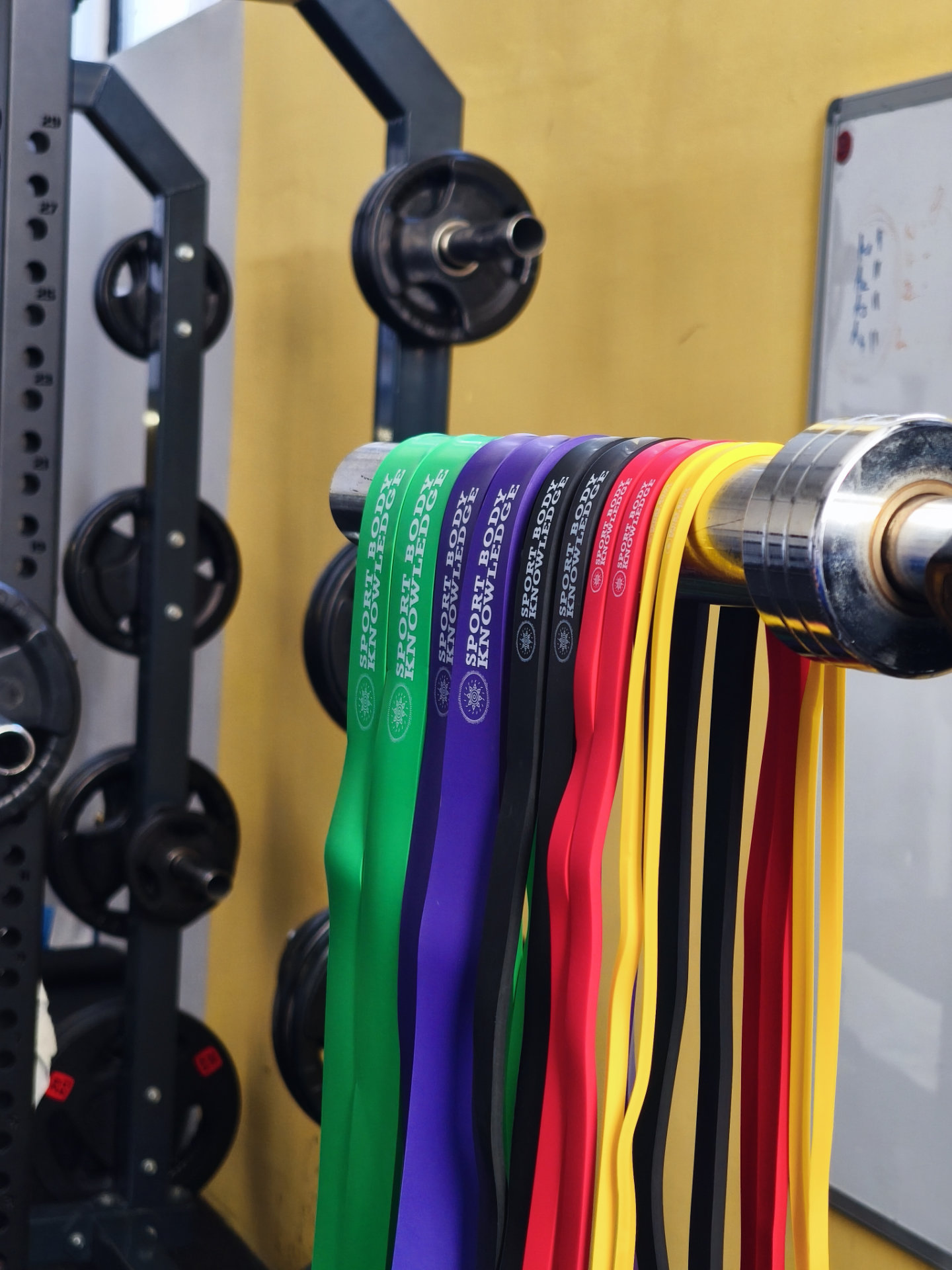 elastic exercise bands